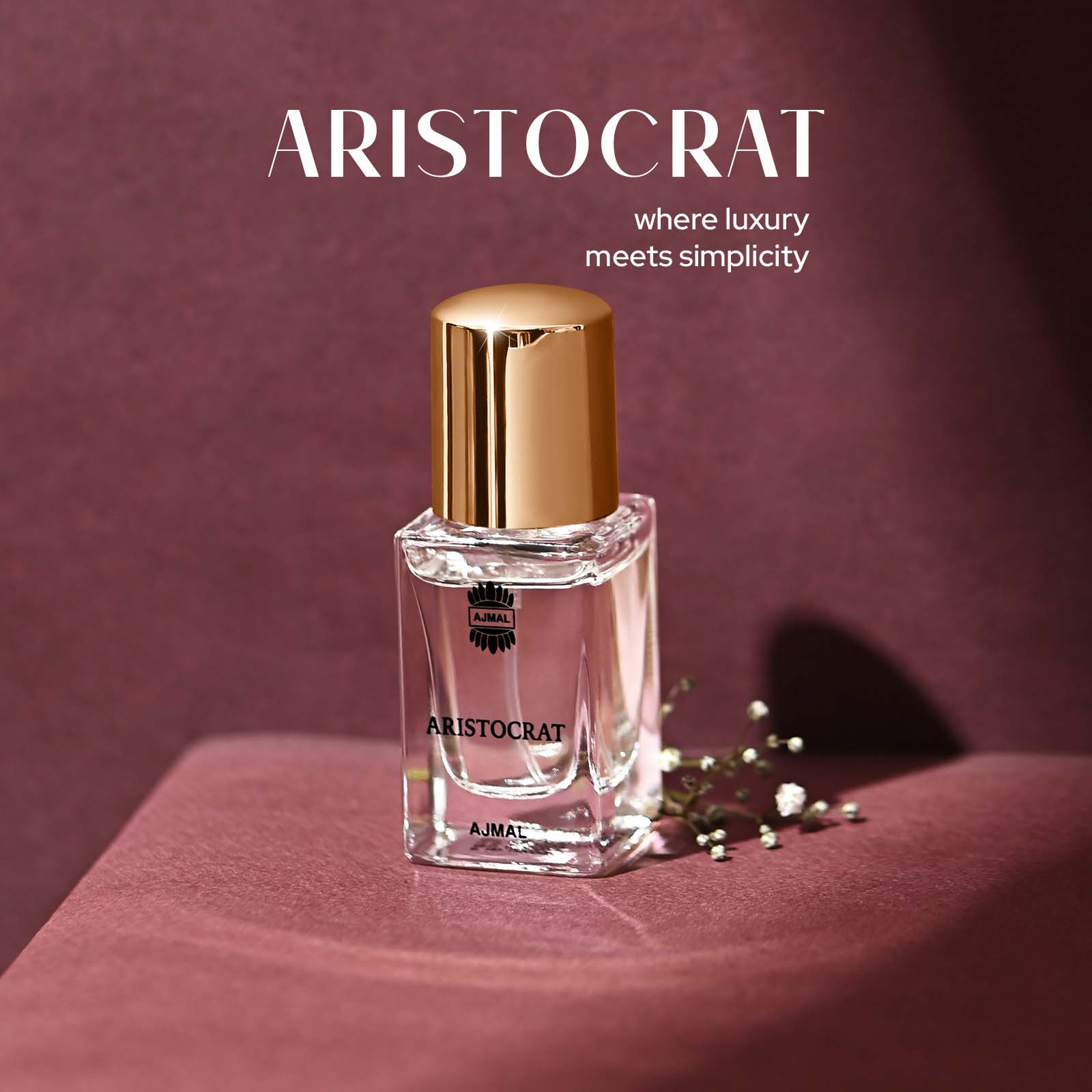 ARISTOCRAT - Image 7