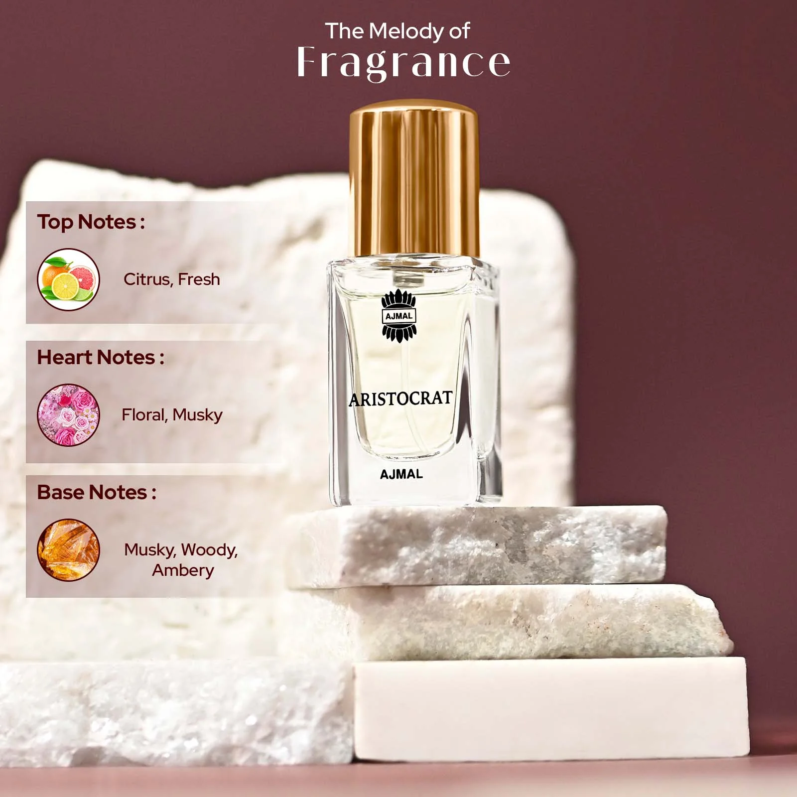 ARISTOCRAT - Image 9