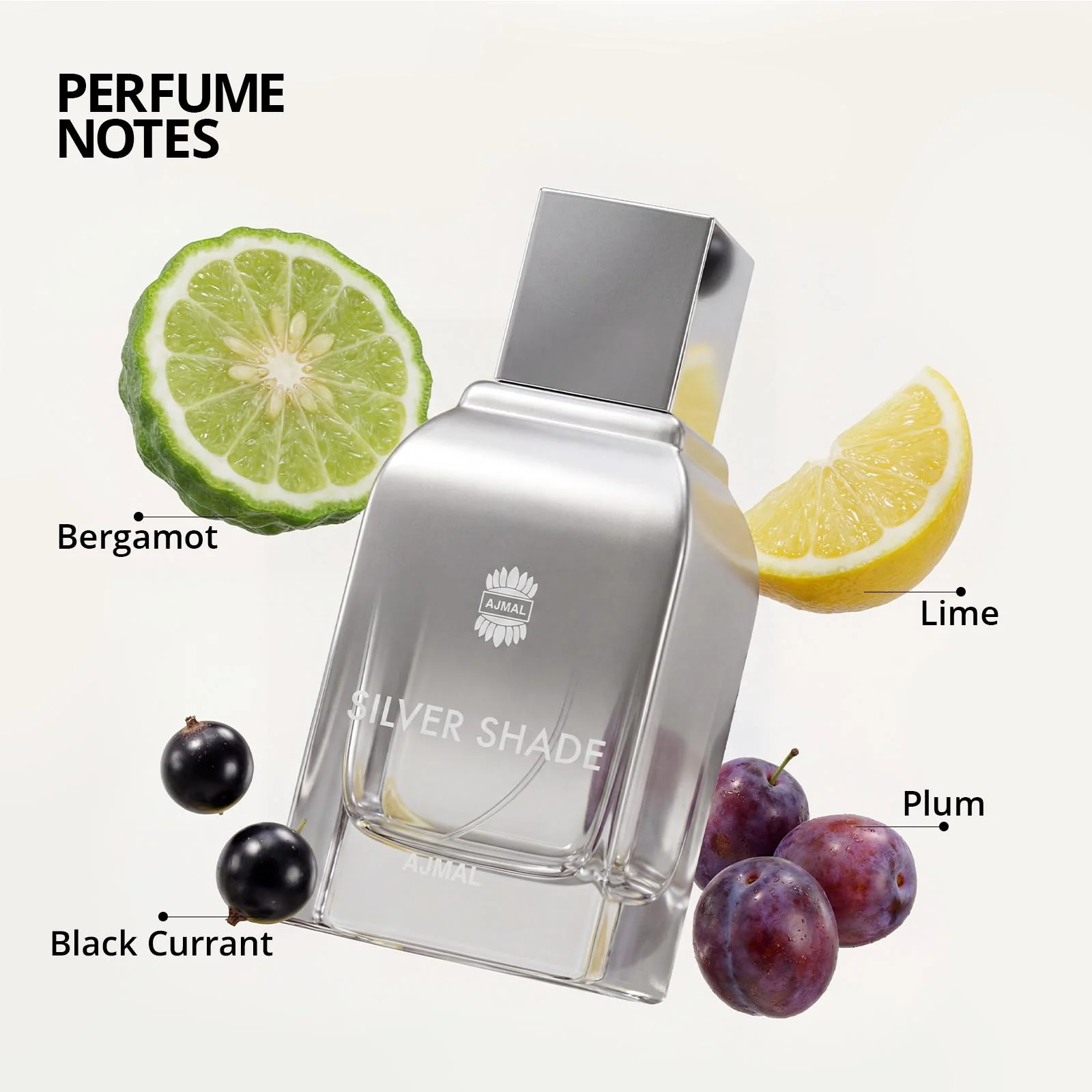 SILVER SHADE Perfume 100ML for Men - Image 3